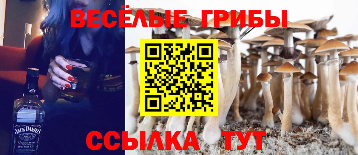 Галлюциногенные грибы Psilocybine cubensis  Вход с VPN  Южно-Сахалинск 